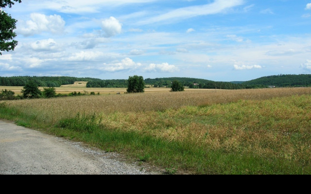 Tapeta krajina_v_rakousku