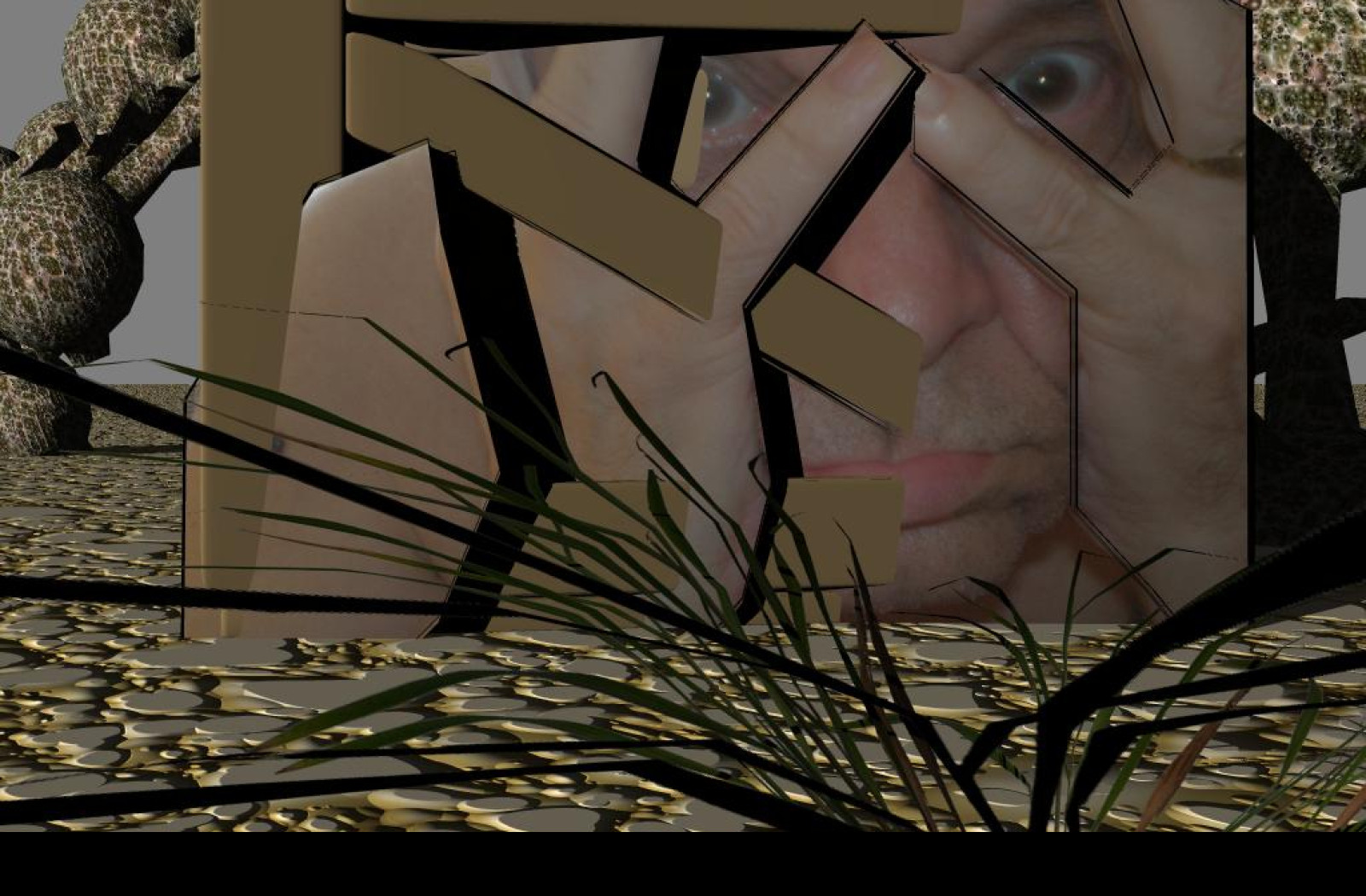Tapeta krajscif