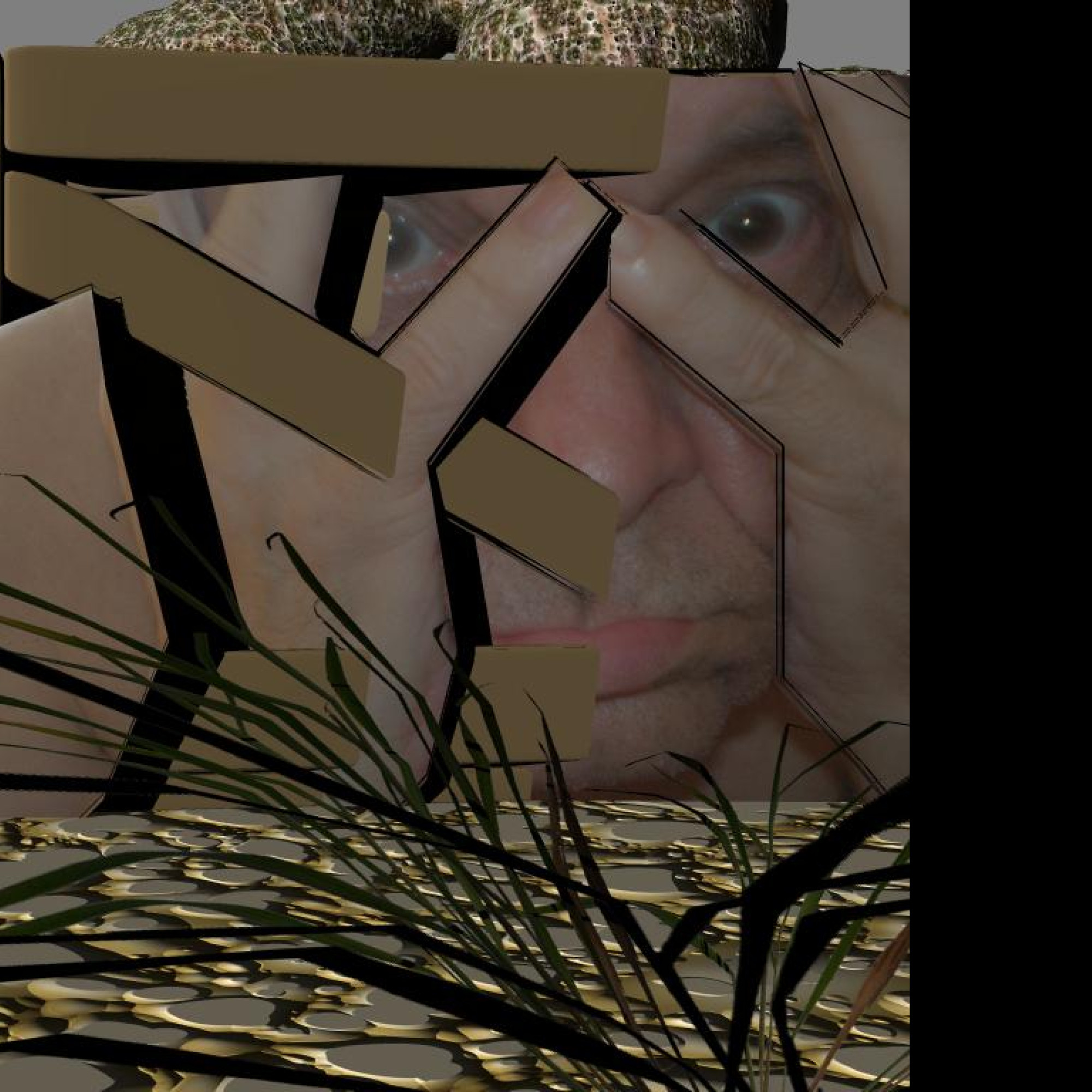 Tapeta krajscif
