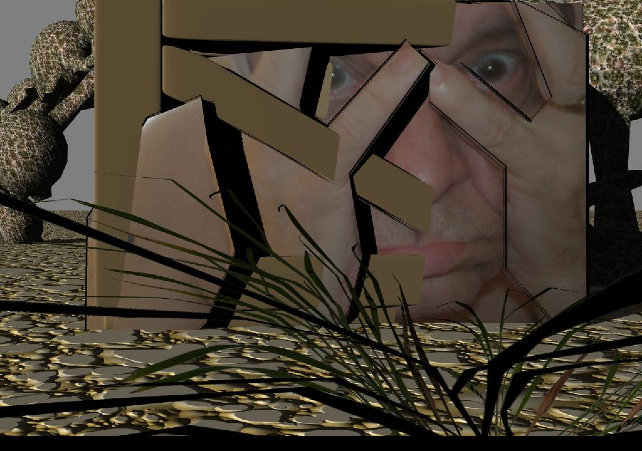 Tapeta krajscif