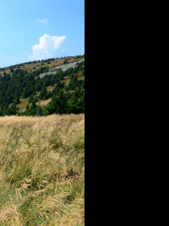 Tapeta kralicky_sneznik_13