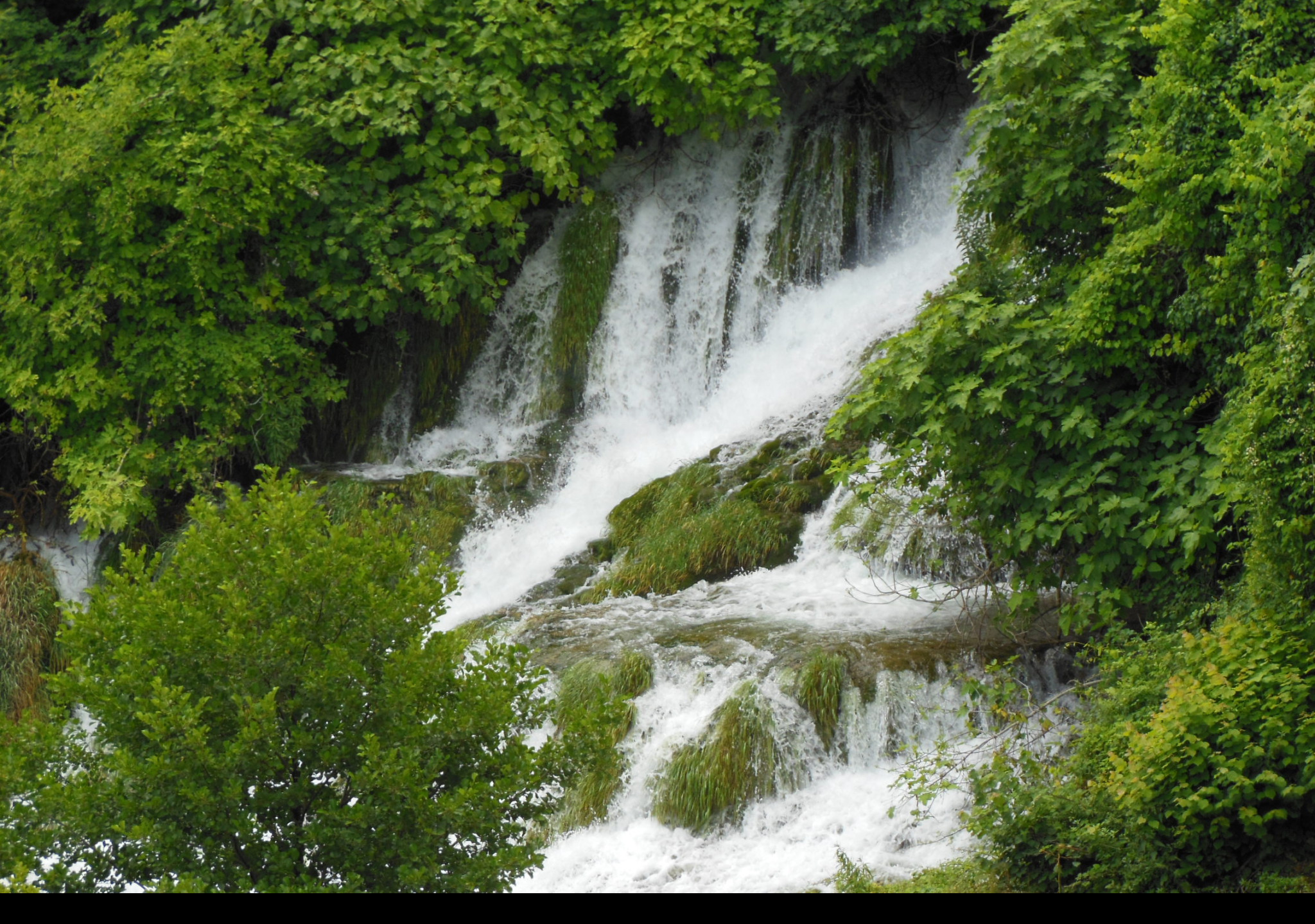 Tapeta krka3