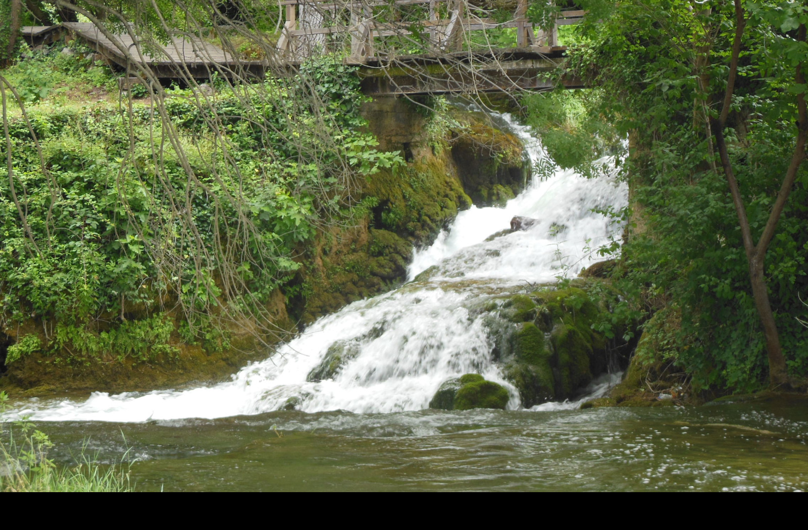 Tapeta krka4