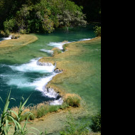 Tapeta krka_9