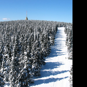 Tapeta krkonose1