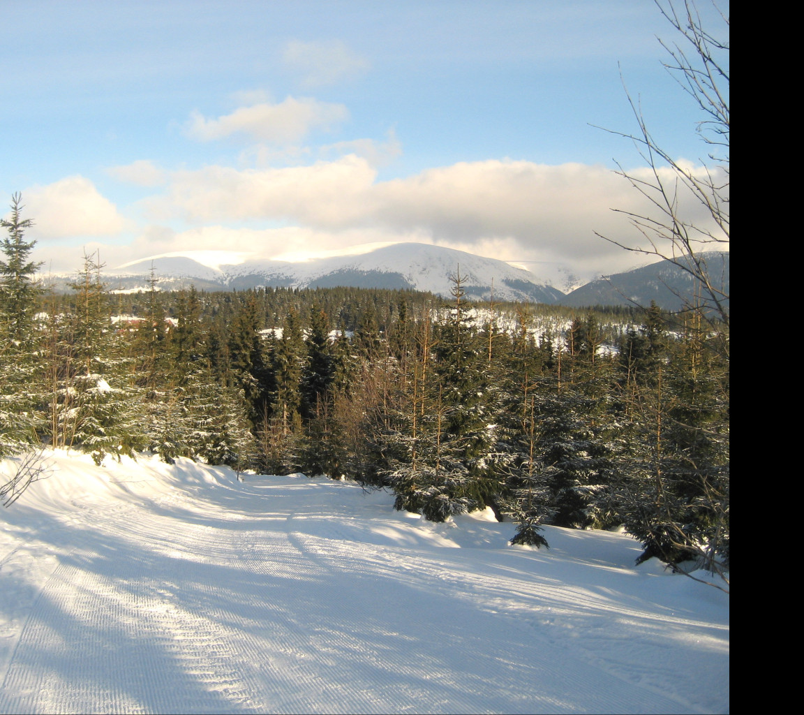 Tapeta krkonose_