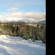 Tapeta krkonose_
