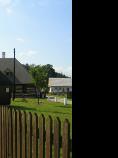 Tapeta krnovice