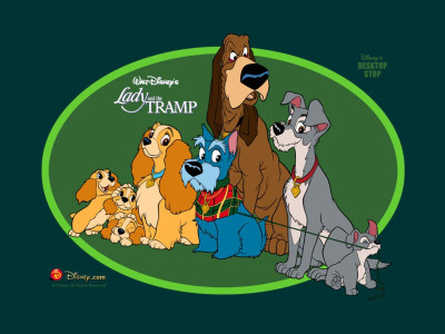 Tapeta: Lady a tramp 3