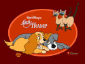 Tapeta Lady a tramp 4