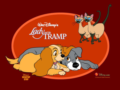 Tapeta: Lady a tramp 4