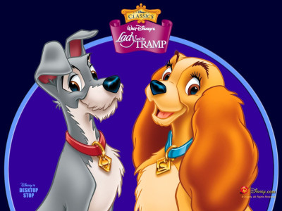 Tapeta: Lady a tramp 6