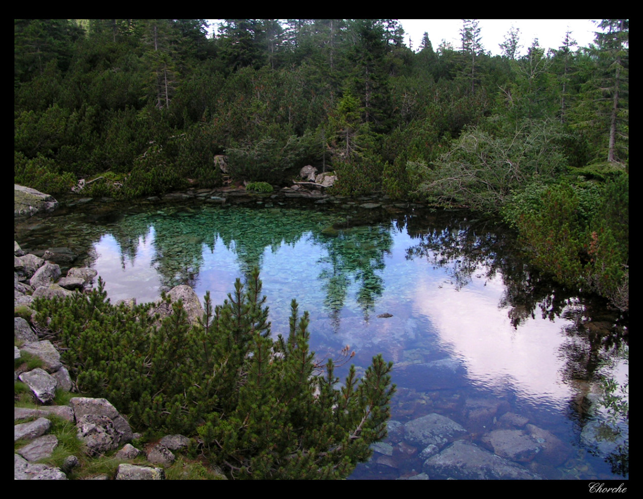 Tapeta laguna