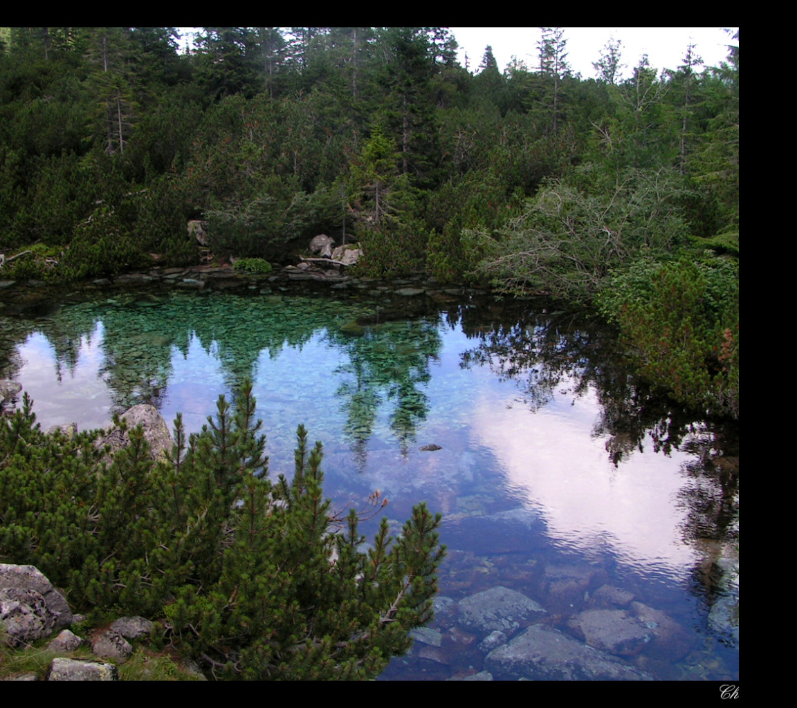 Tapeta laguna