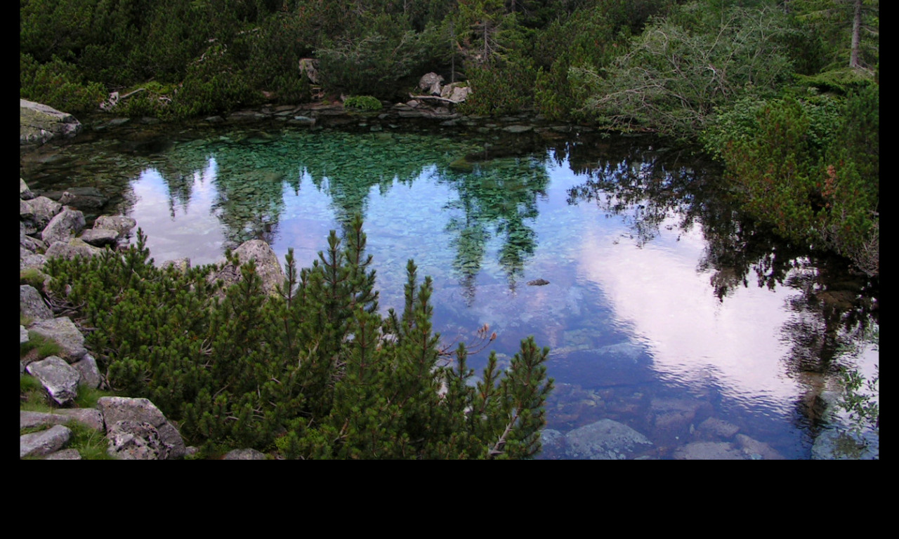 Tapeta laguna