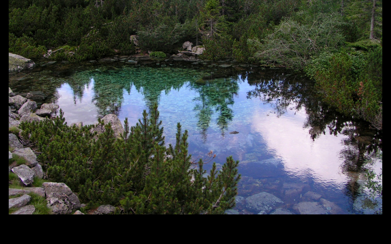 Tapeta laguna