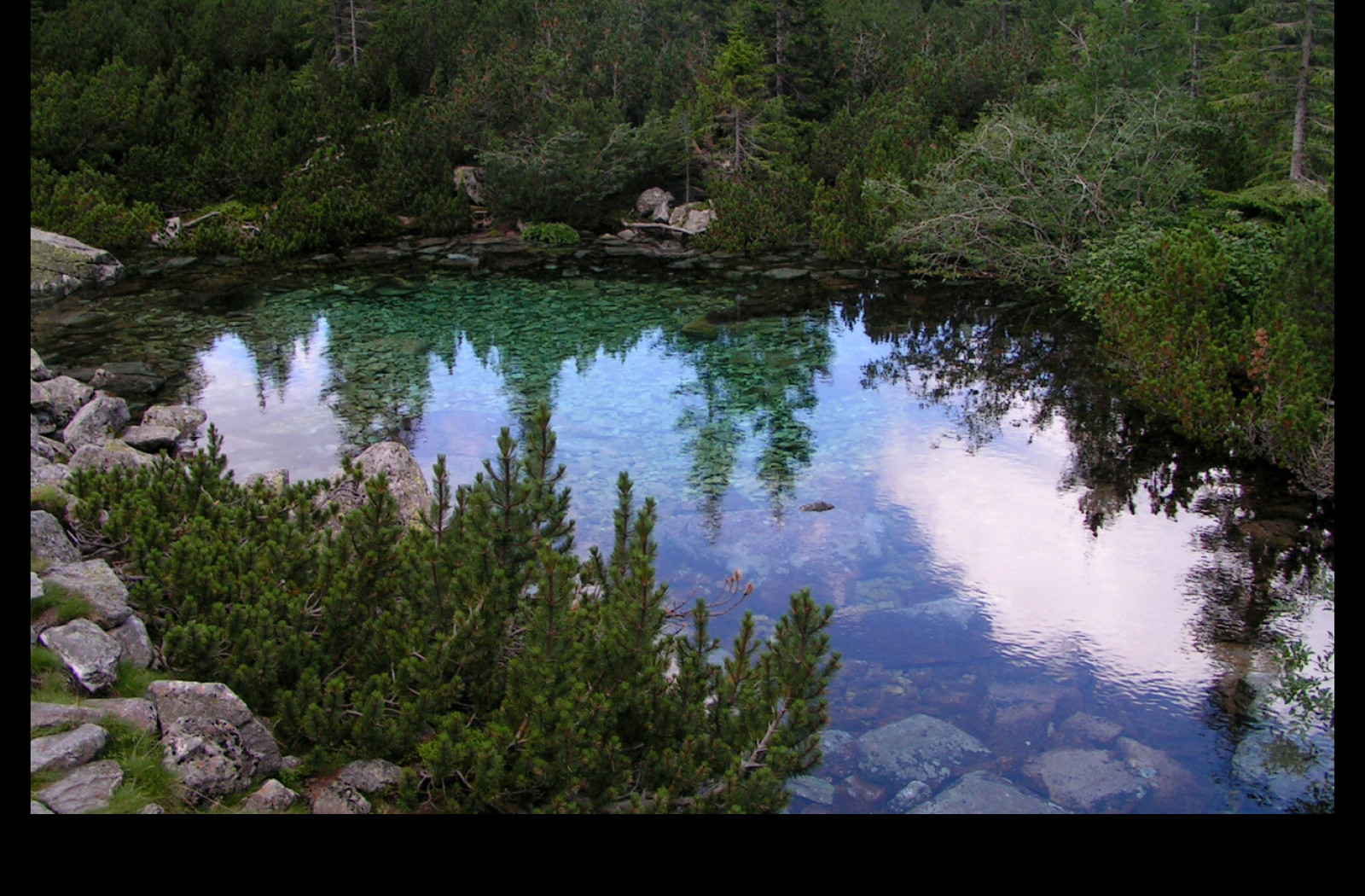 Tapeta laguna