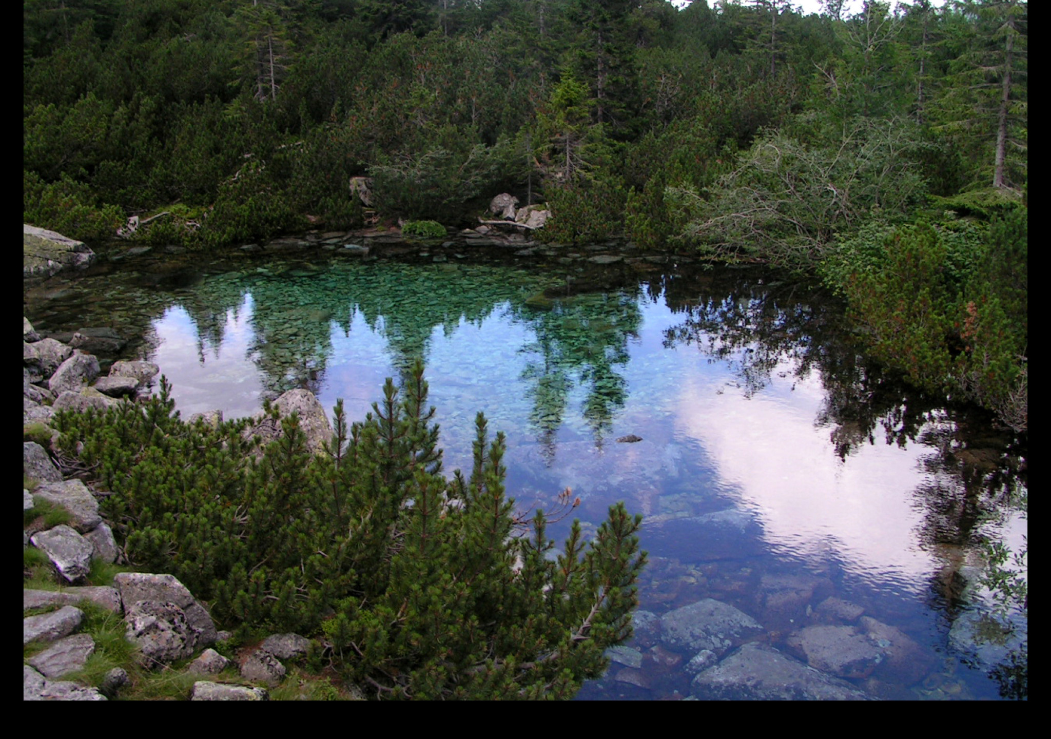 Tapeta laguna