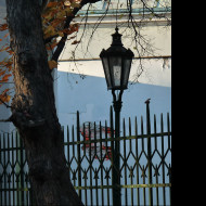 Tapeta lampa