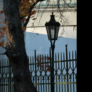 Tapeta lampa