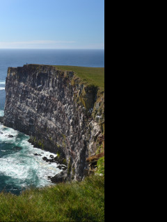 Tapeta latrabjarg__island