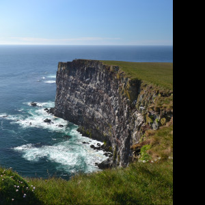 Tapeta latrabjarg__island