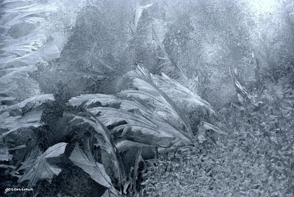 Tapeta ledova_malba