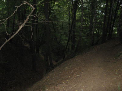 Tapeta: les utpjc se v soumraku