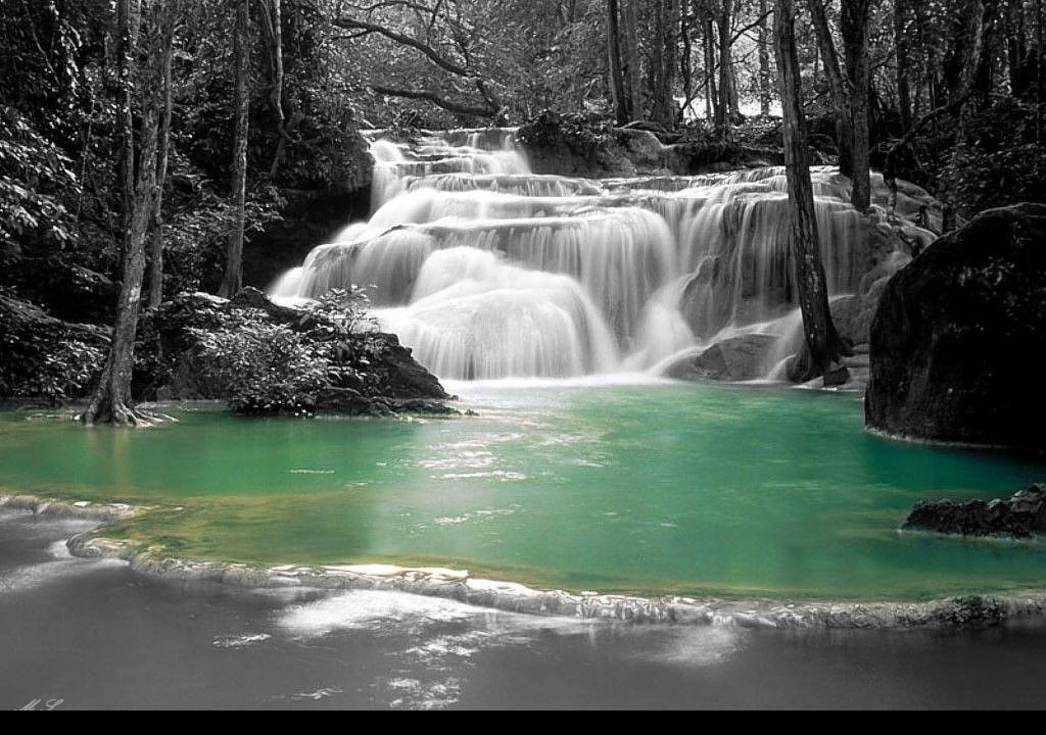 Tapeta lesni_laguna