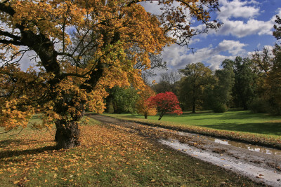 Tapeta: Libochovick park