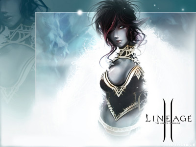 Tapeta: Lineage 2