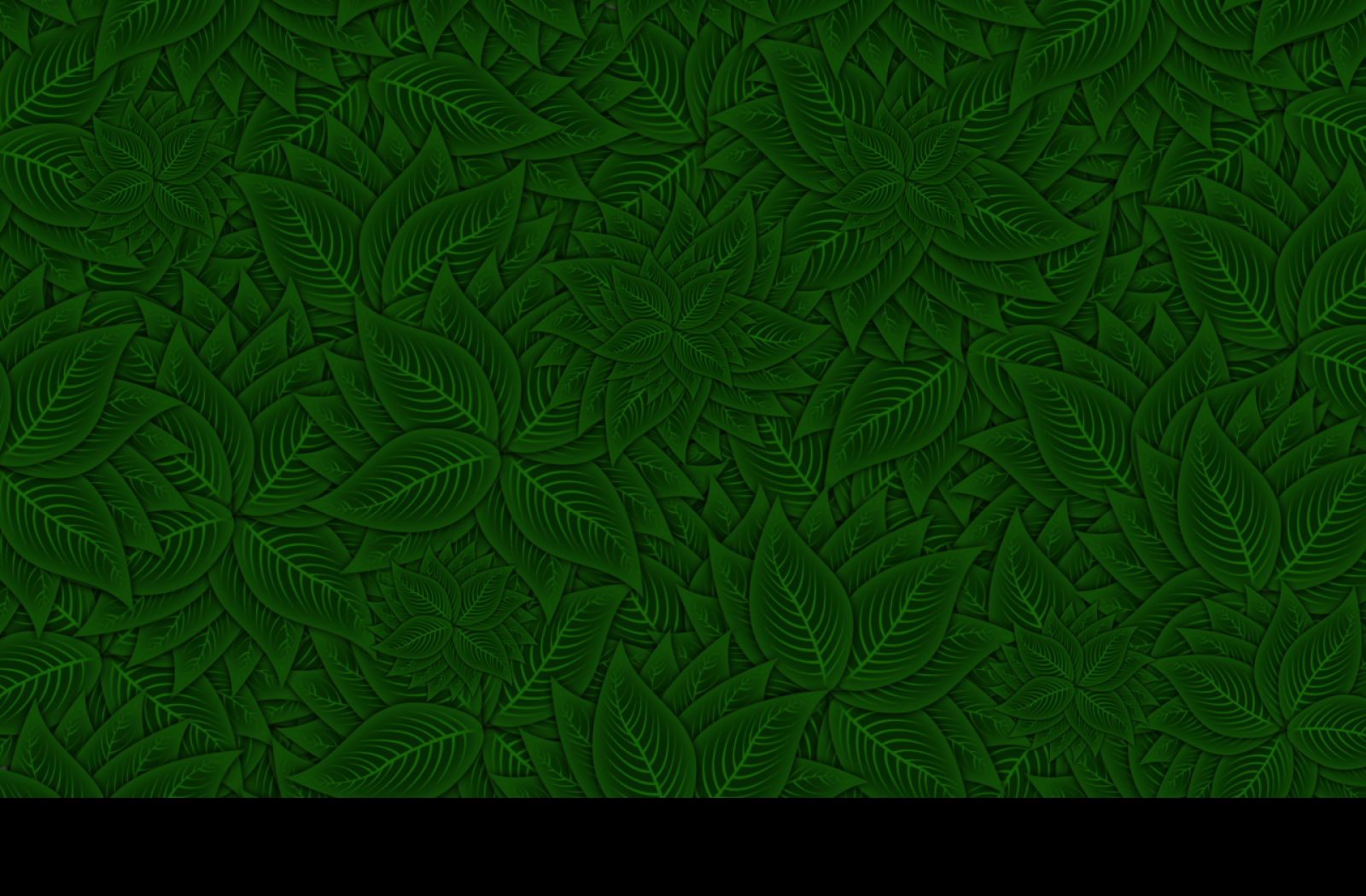 Tapeta listovy_wallpaper