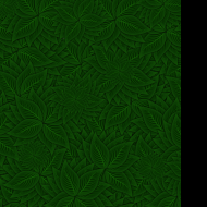 Tapeta listovy_wallpaper