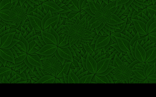 Tapeta listovy_wallpaper