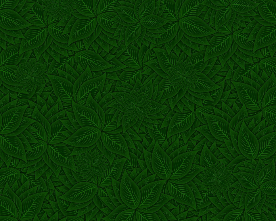 Tapeta listovy_wallpaper