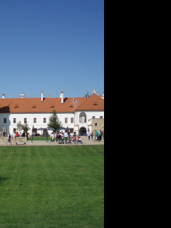 Tapeta litomysl