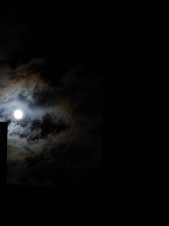Tapeta luna