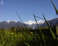 Tapeta Macro Mount Cook