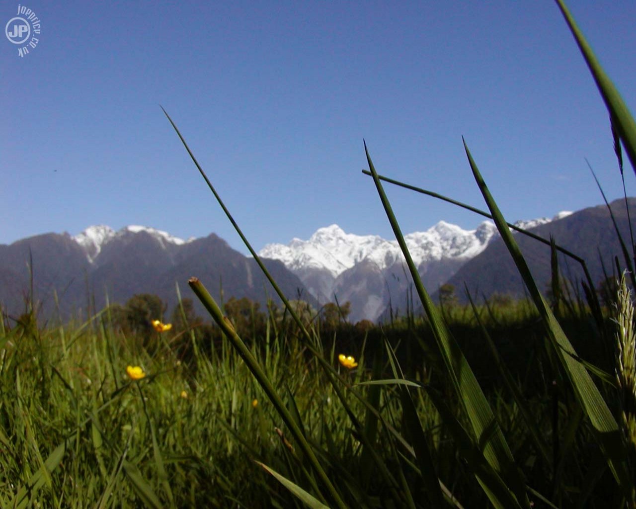 Tapeta macromountcook