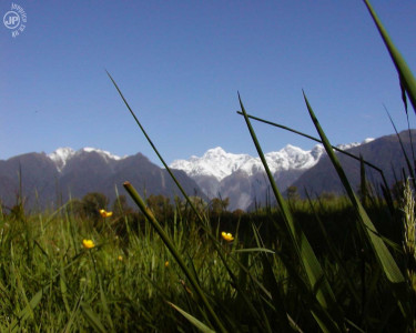 Tapeta: Macro Mount Cook