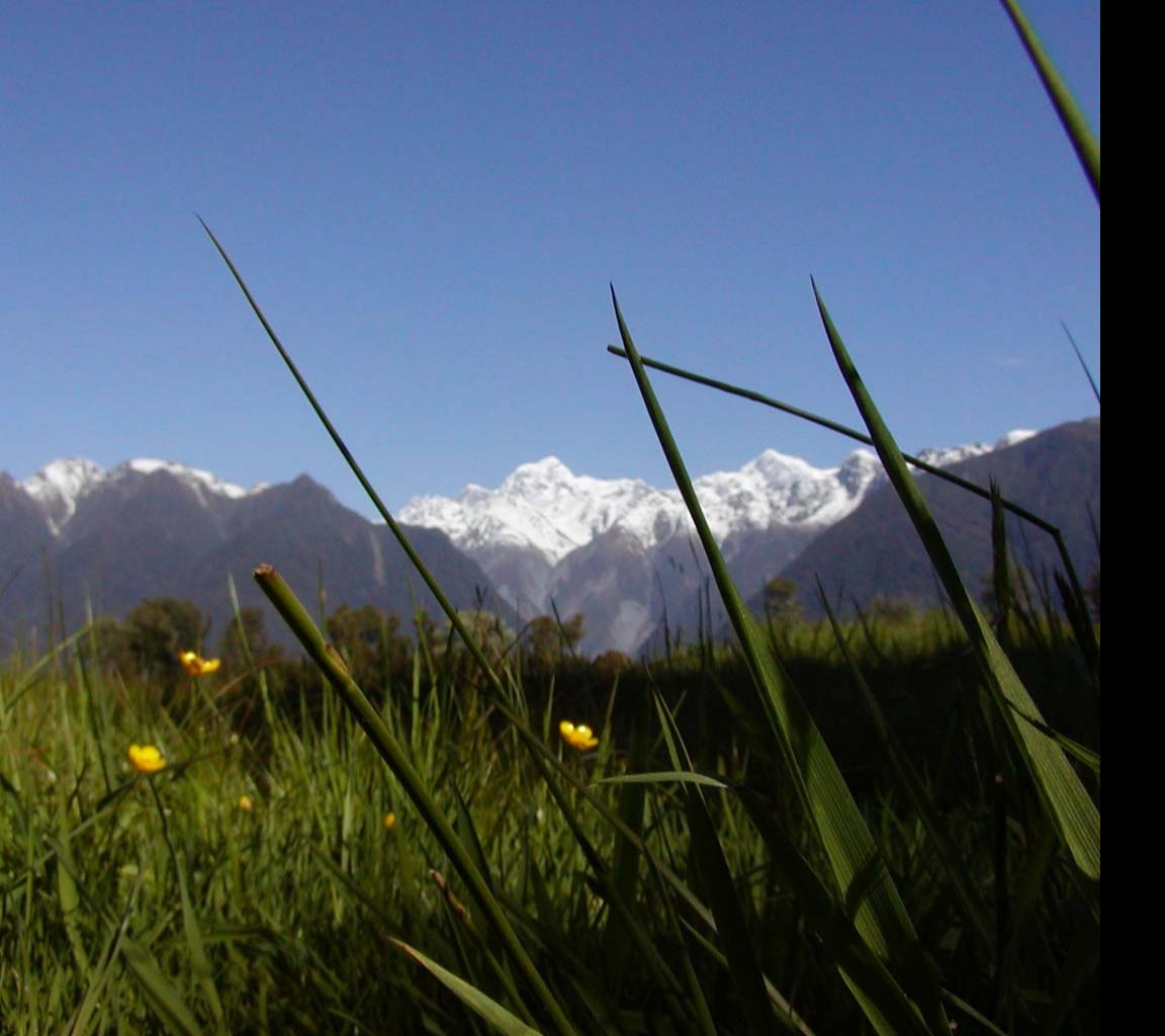 Tapeta macromountcook
