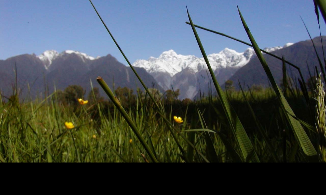 Tapeta macromountcook