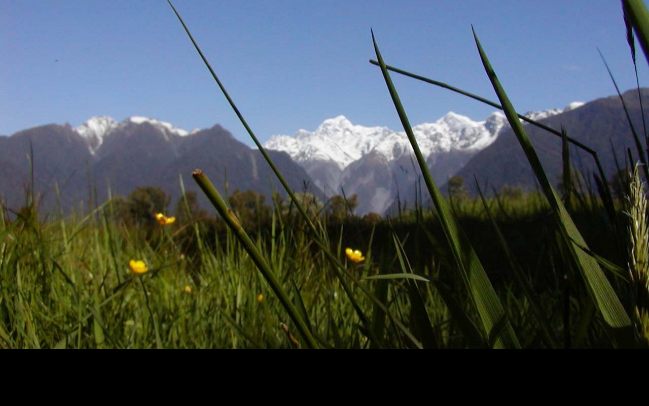 Tapeta macromountcook