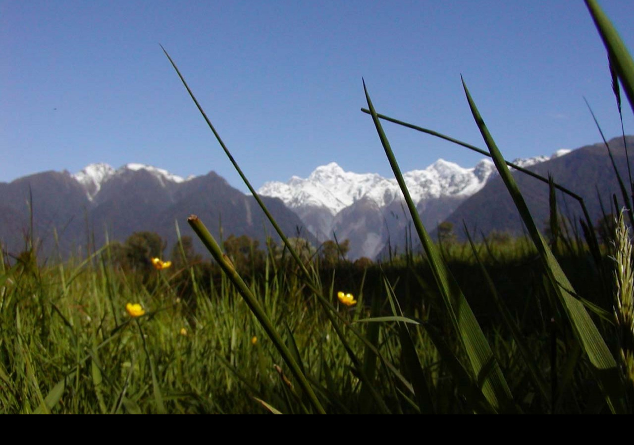 Tapeta macromountcook