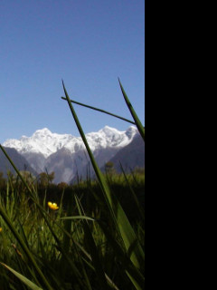 Tapeta macromountcook