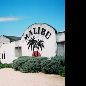 Tapeta malibu