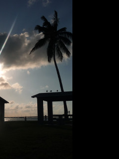 Tapeta miami_zapad