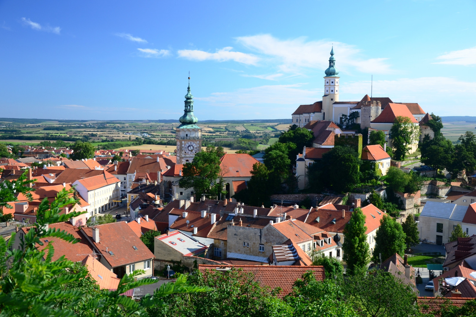 Tapeta mikulov