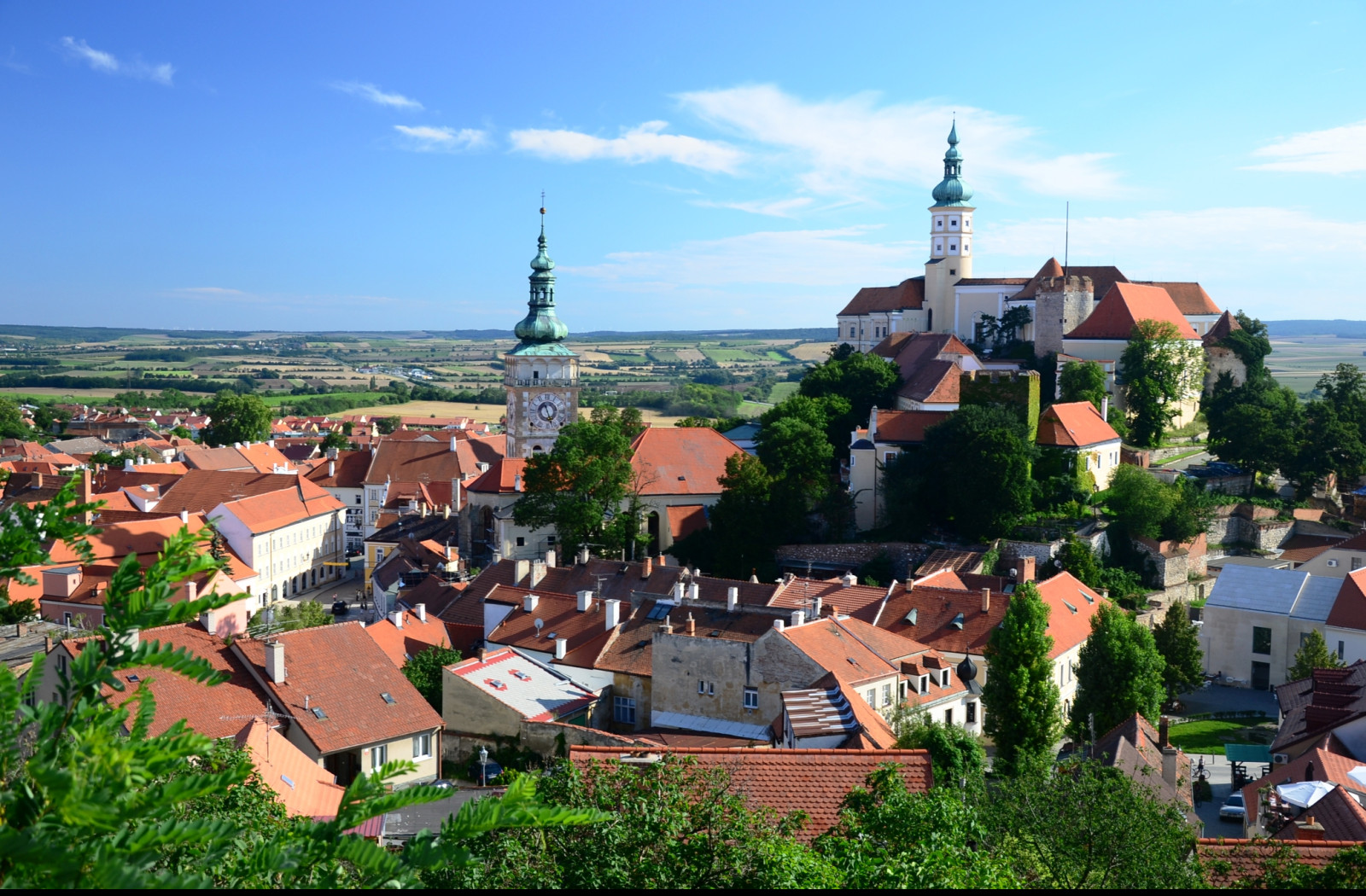 Tapeta mikulov