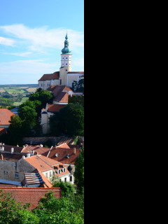 Tapeta mikulov